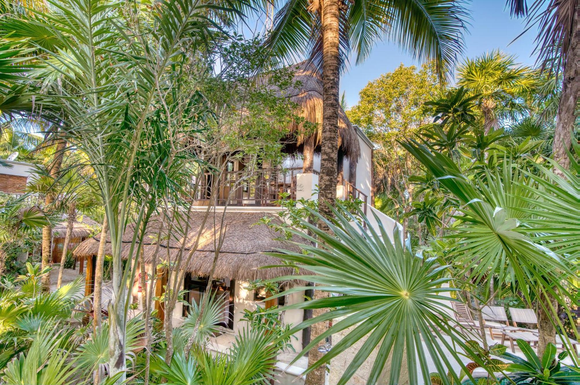 Tulum Luxury Collection Hotell Rum bild